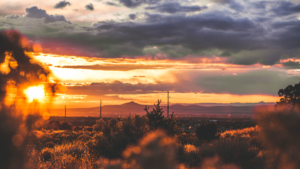 landscape photo of new mexico during sunset