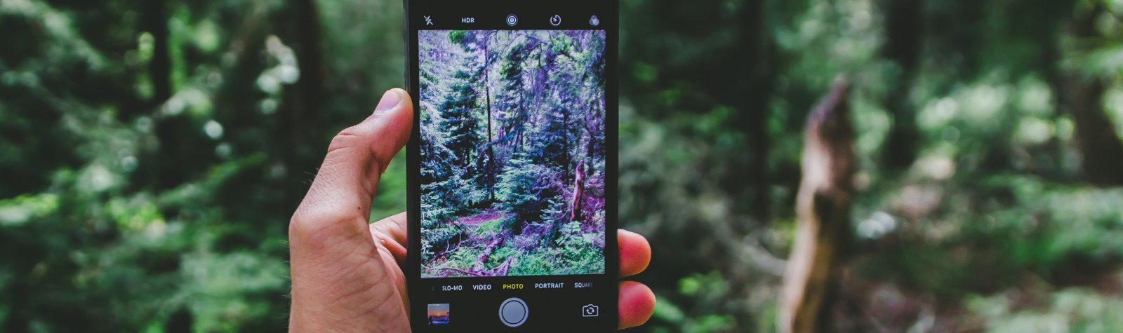 Impress Your Loved Ones With Better Photos
