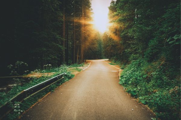 Wellbeing Journey
