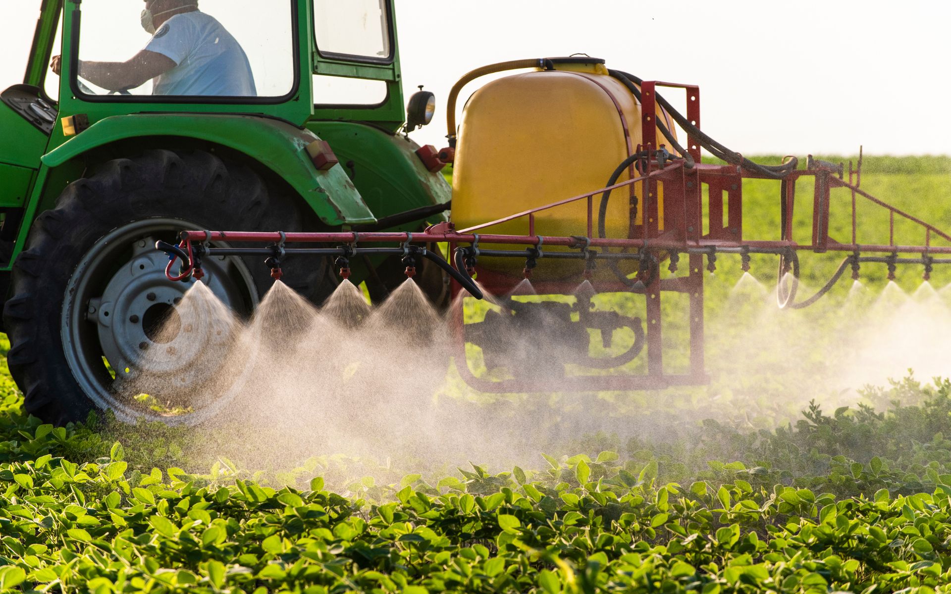 Image is not available