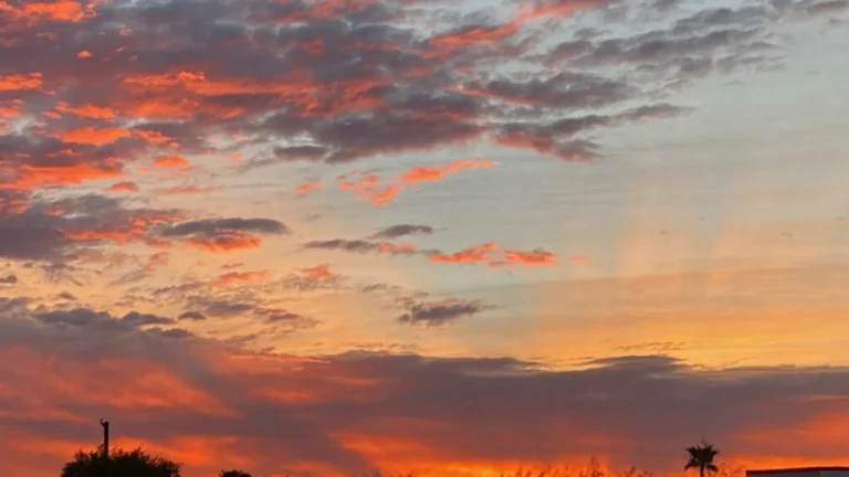sunsest.54822786 9F8rh 768x432